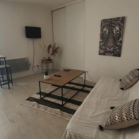 Studio Cosy Au Coeur De Millau Ngoại thất bức ảnh